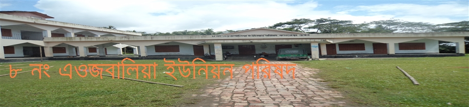 নোয়াখালীর ৮নং এওজবালিয়া ইউনিয়ন পরিষদ ভবন
