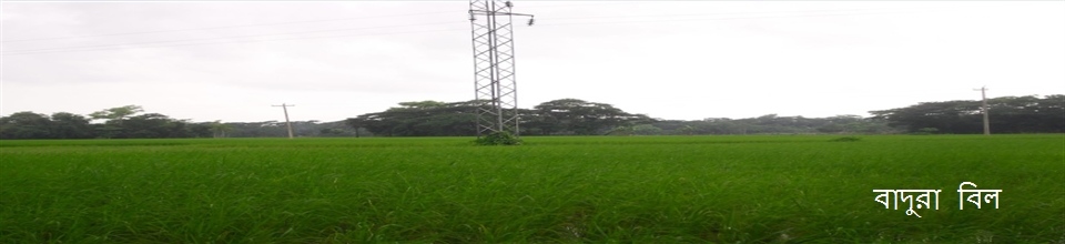 বাদুরা বিল