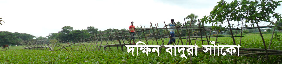 দক্ষিন বাদুরা সাকো