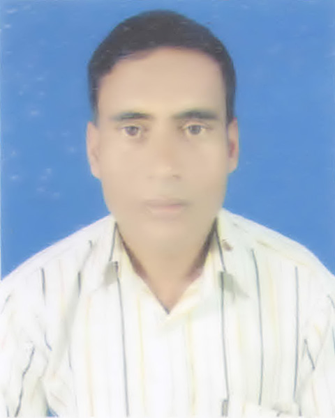 মো: সাইফুল ইসলাম