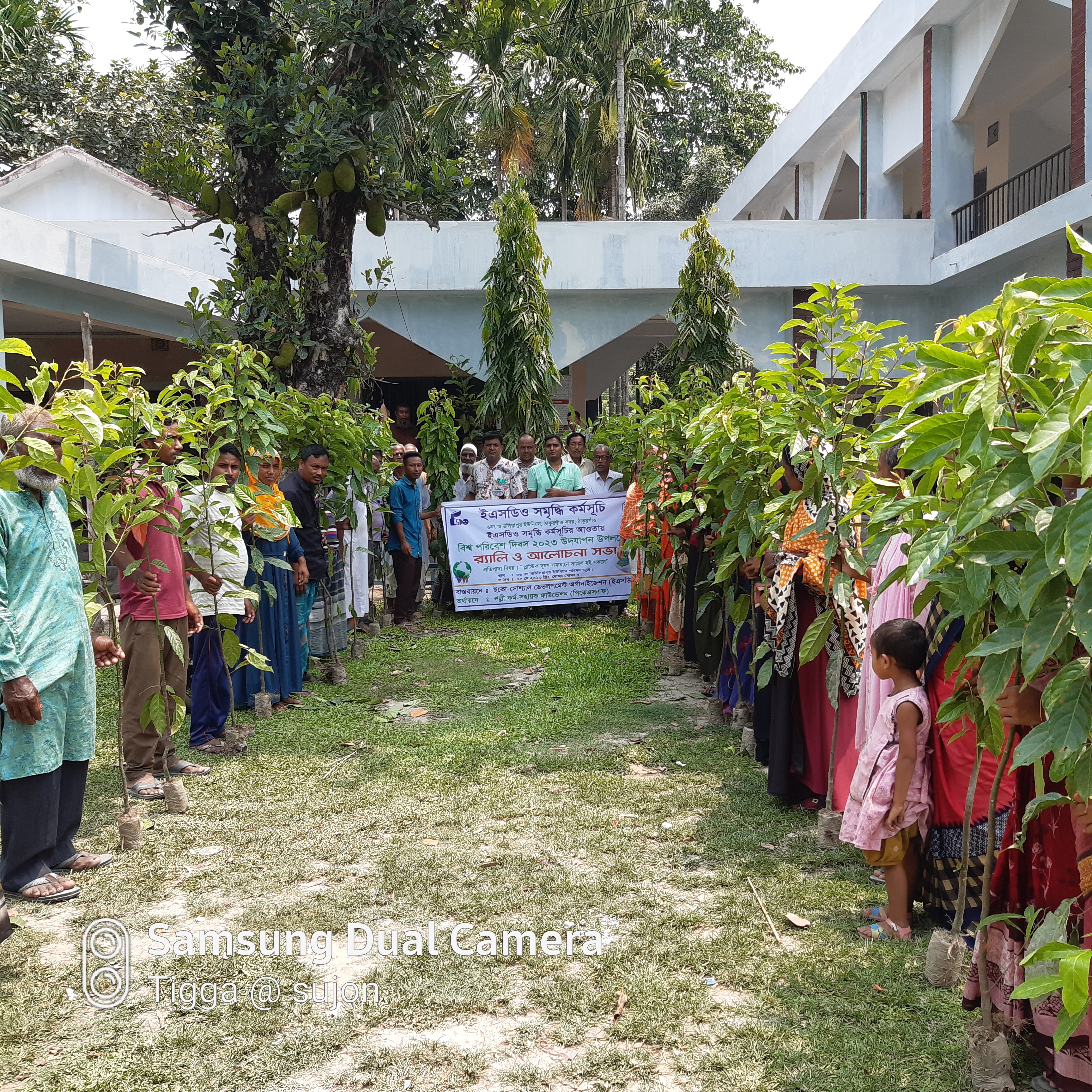 ৬নং আউলিয়াপুর ইউনিয়নের বিশ্ব পরিবেশ দিবসে গাছ বিতরন