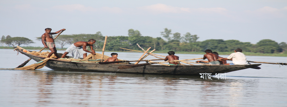 মাছ ধরা