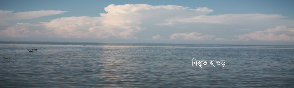 বিস্তৃত হাওড়