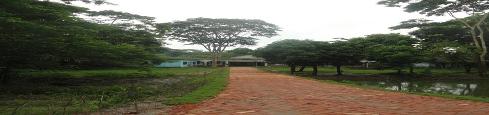 ৫ নং আয়লা পাতাকাটা ইউপি অফিস