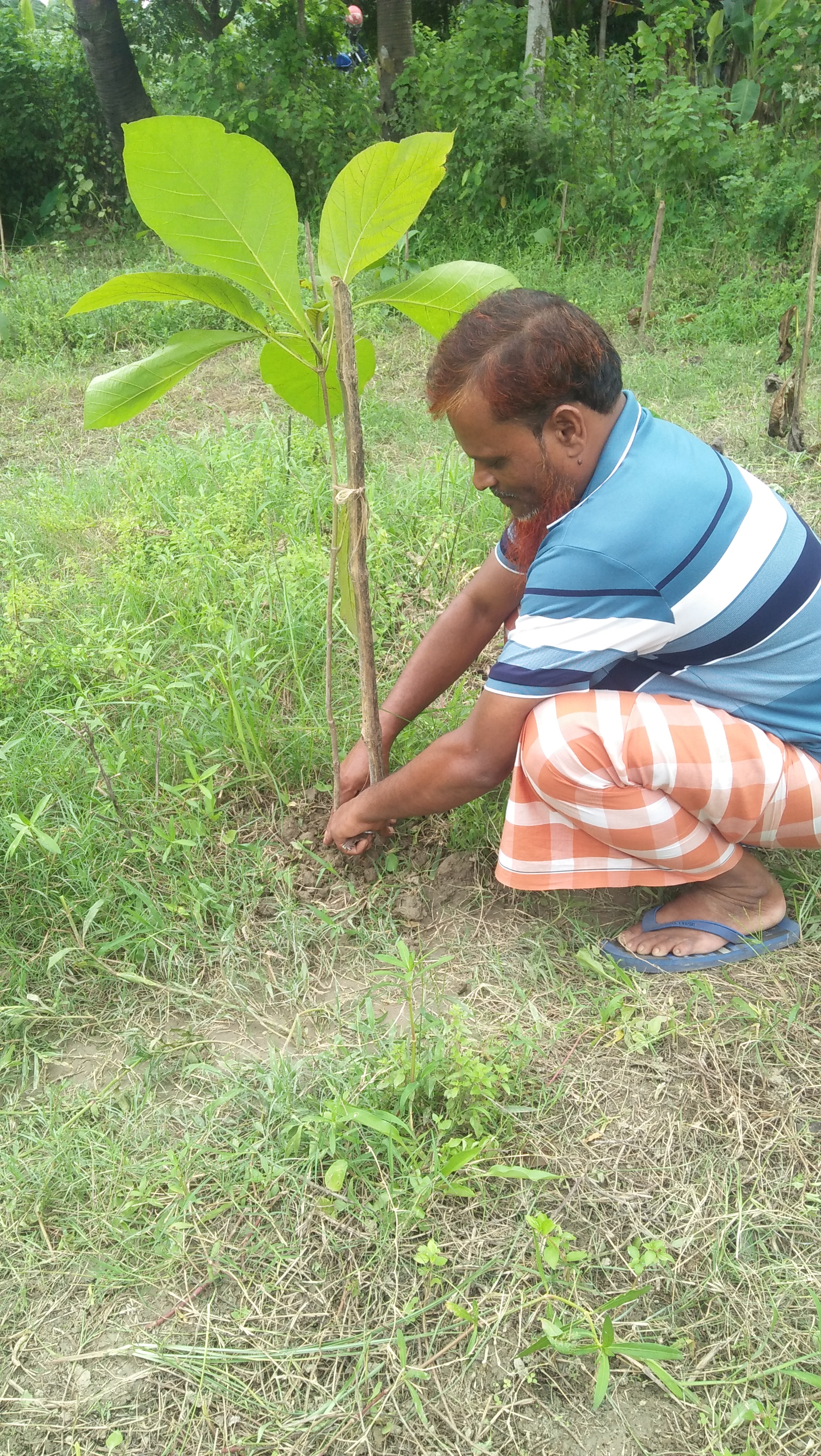 বৃক্ষ রোপন/২০২৩ এর কিছু খন্ড চিত্র