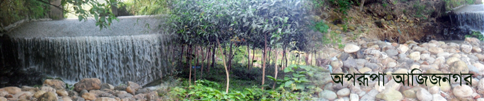 অপরূপা আজিজনগর