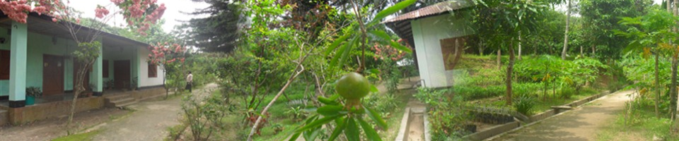 নার্সারী