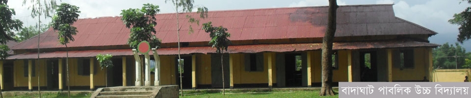 স্কুল