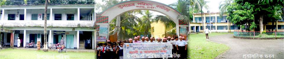 উপজেলা পরিষদ