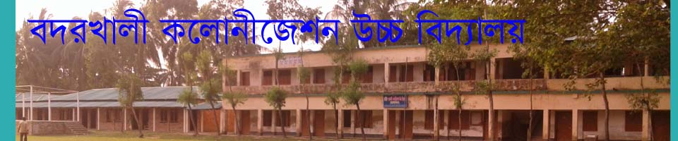 বদরখালী কলোনীজেশন উচ্চ বিদ্যালয়