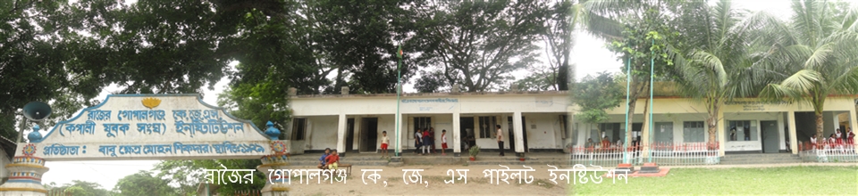 রাজৈর হাইস্কুল