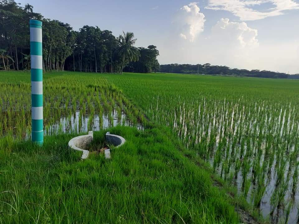 বিএডিসি