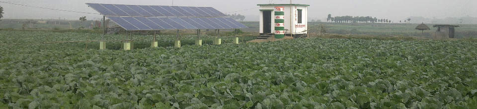Solar Operated LLP, Balughata, Tetulzora, Savar