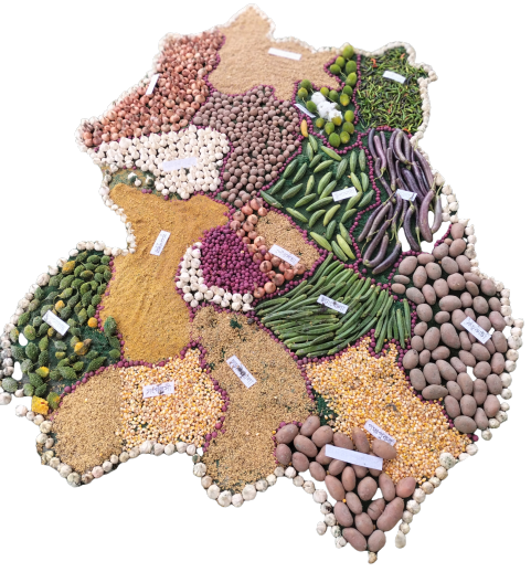 মোঃ ফারুক হোসেঈন উপসহকারী প্রকৌশলী