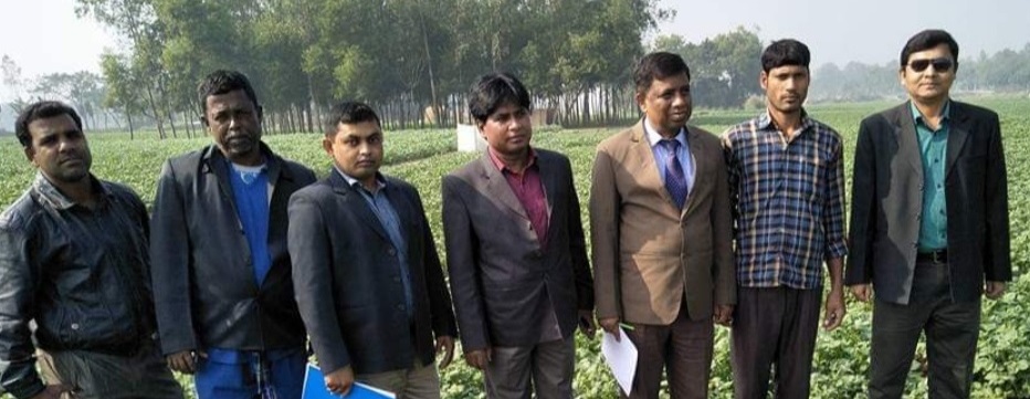 ব্যানার