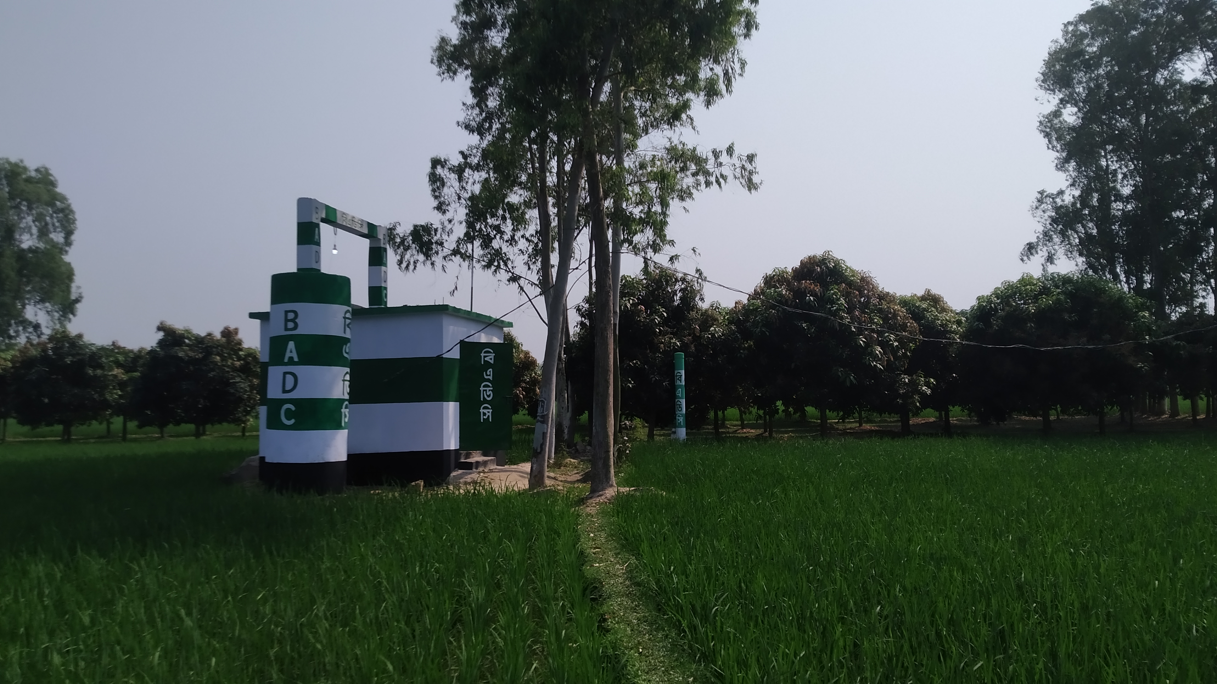জাতীয় তথ্য বাতায়ন