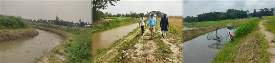 খাল পুন:খনন