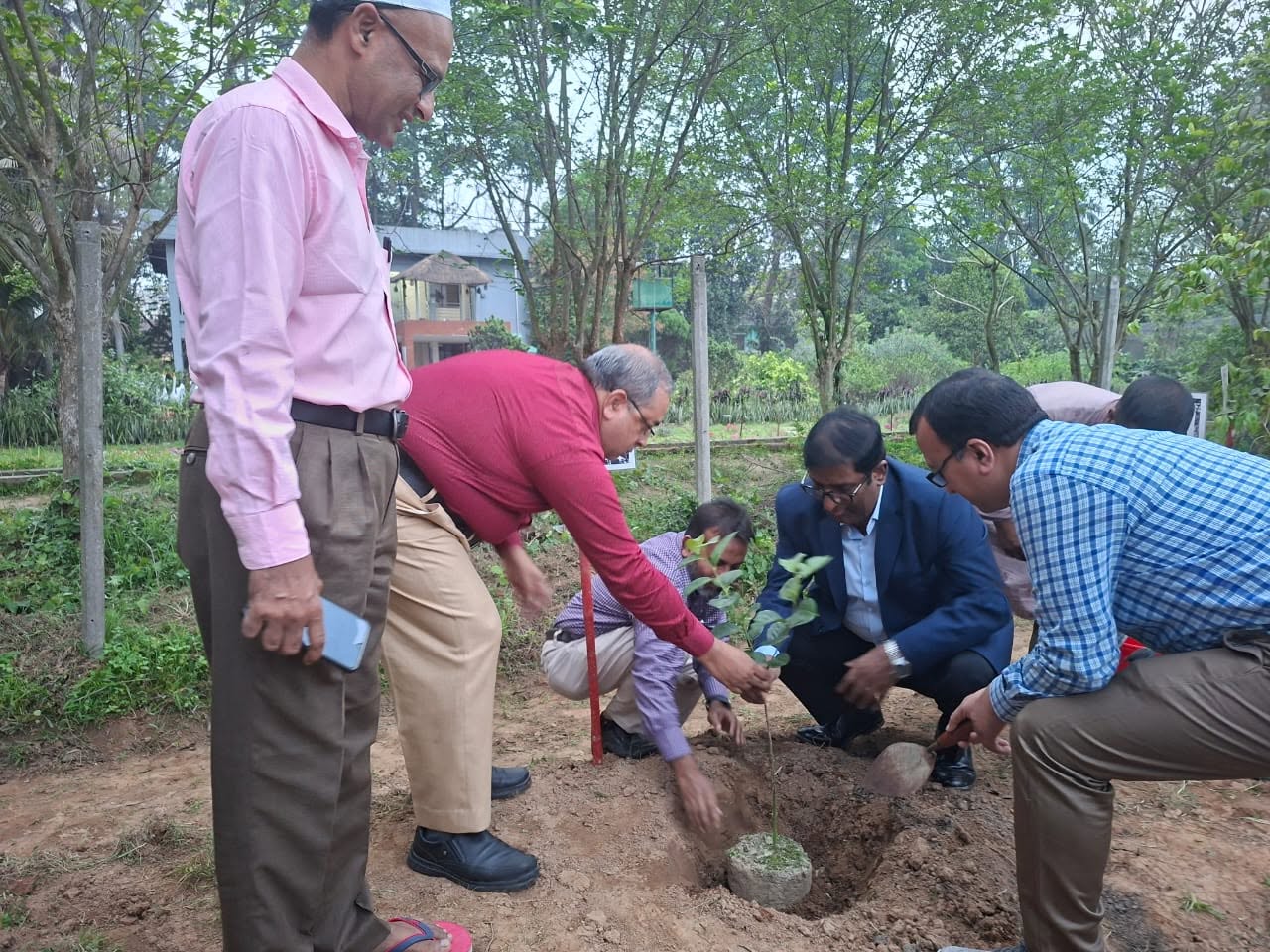 বিএডিসি'র গাজীপুরস্থ কাশিমপুর উদ্যান উন্নয়ন কেন্দ্র কার্যক্রম পরিদর্শনে ফলের চারা রোপন এর একাংশ
