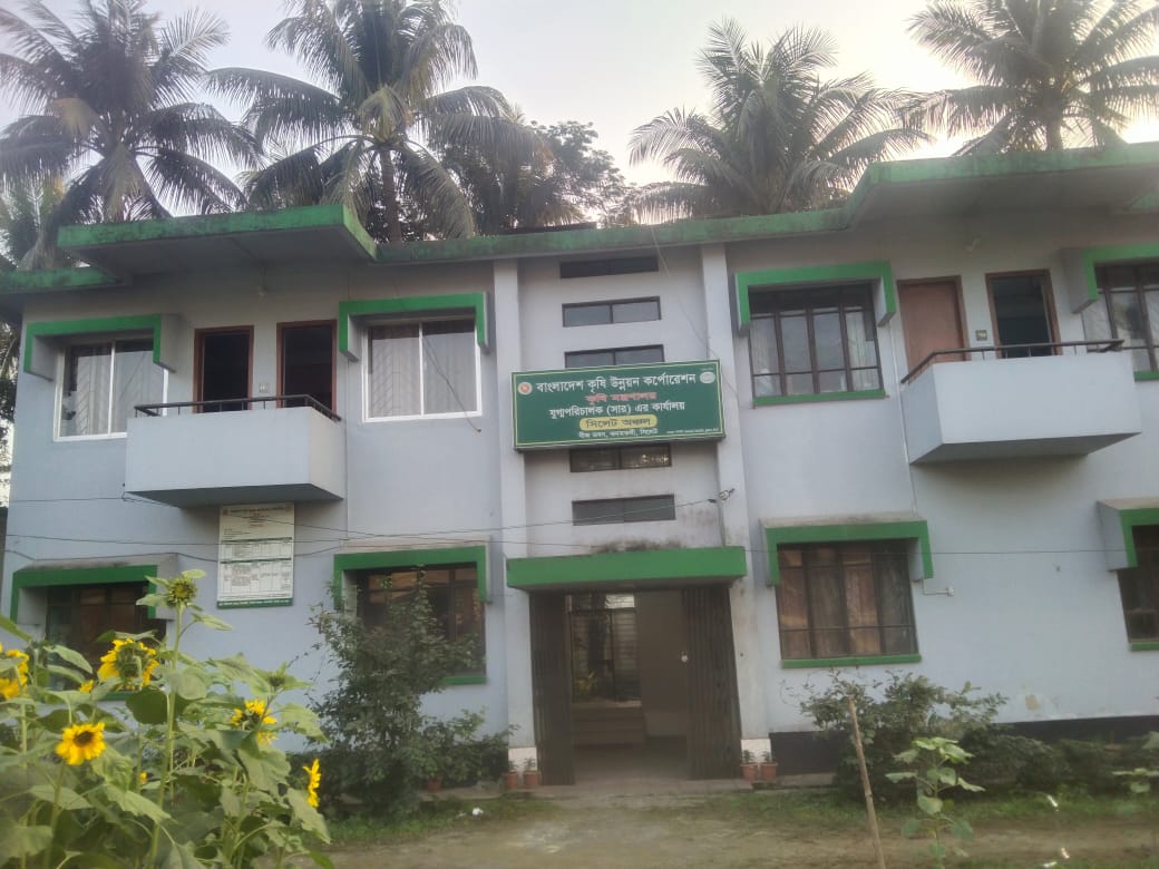 ব্যানার