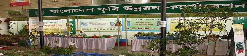 বিএডিসি, মিটিং