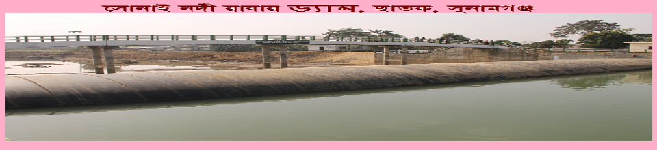 ব্যানার