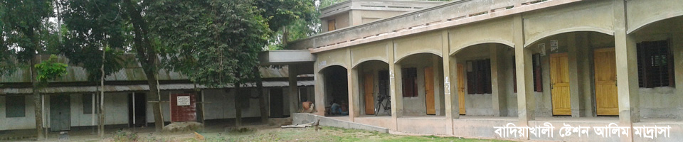 বাদিয়াখালী ষ্টেশন আলিম মাদ্রাসা।