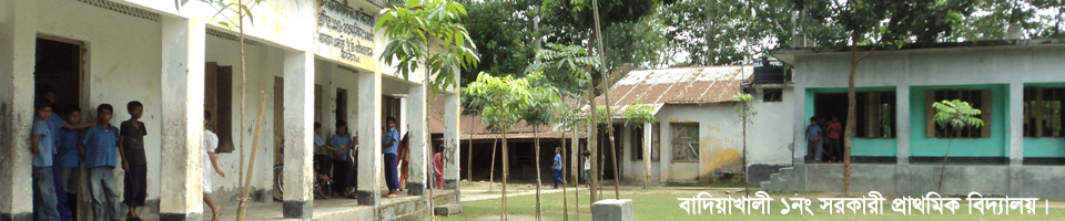 বাদিয়াখালী ১নং সরকারী প্রাথমকি বিদ্যালয়।