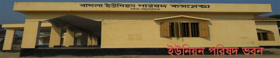 ব্যানার