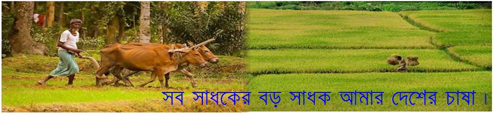 কৃষক এবং ফসলের মাঠ ।