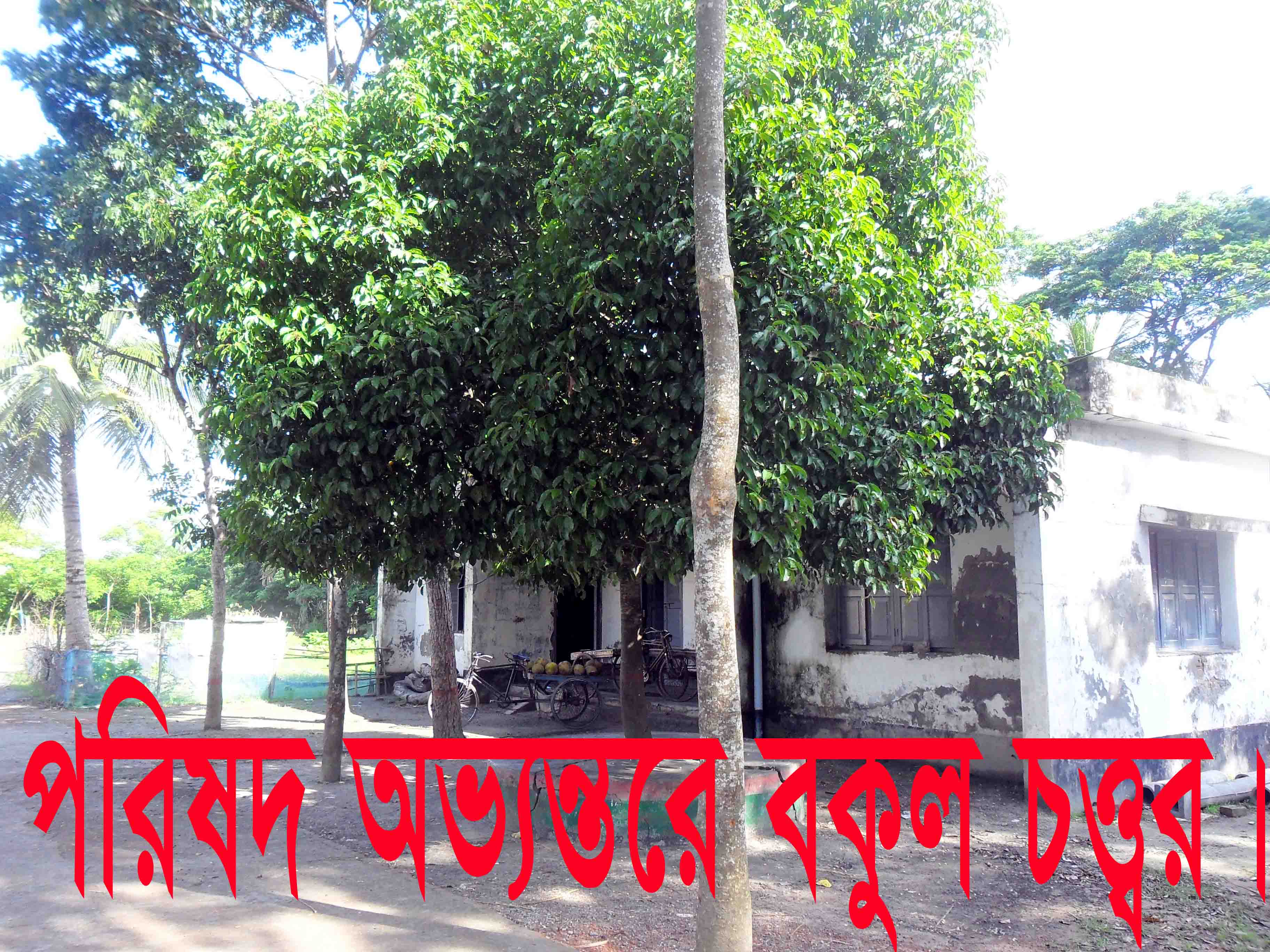 ২ নং বাগালী ইউনিয়ন পরিষদ এর কিছু মনো মুগ্ধকর ফটো গ্যালারী দেওয়া হলো।