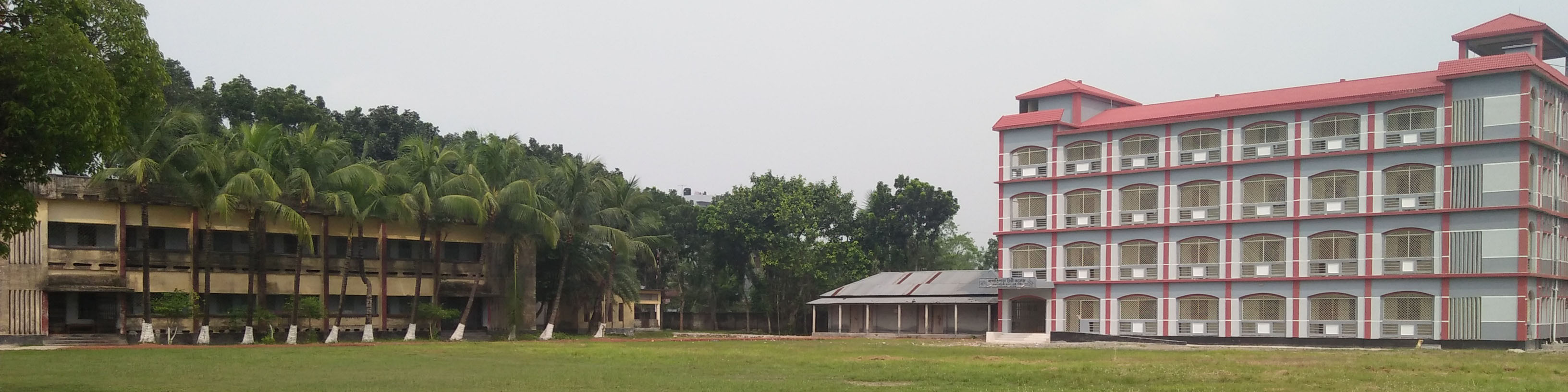 কলেজ
