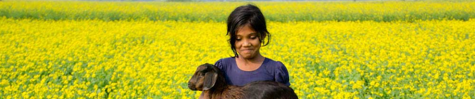 ফুলে ফুলে বাগাতিপাড়া