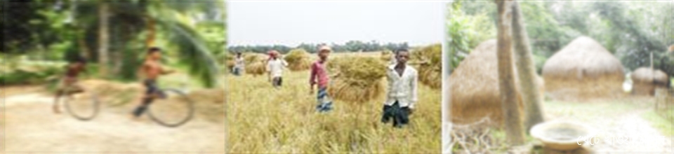 গ্রামের খেটে খাওয়া মানুষ