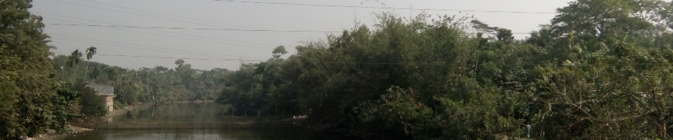 বাগাদী ইউপির প্রাকৃতিক সৌন্দর্য