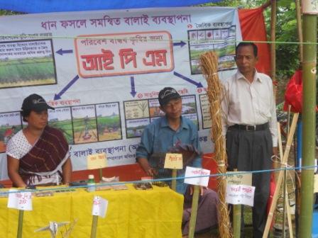কৃষি বিভাগের কার্যক্রম