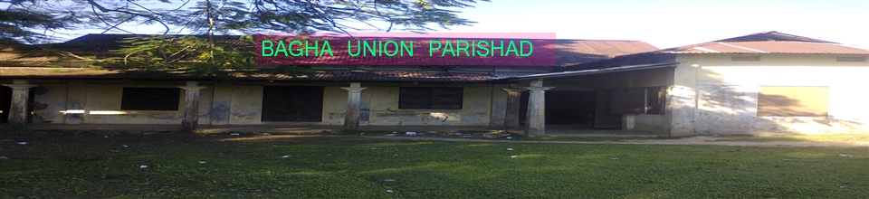 বাঘা ইউনিয়ন পরিষদ