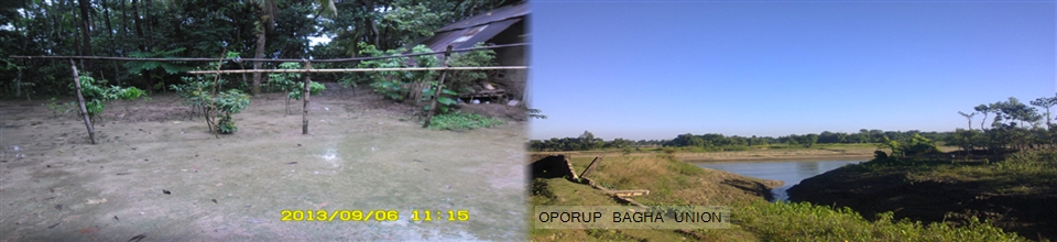 প্রাকৃতিক দৃশ্য