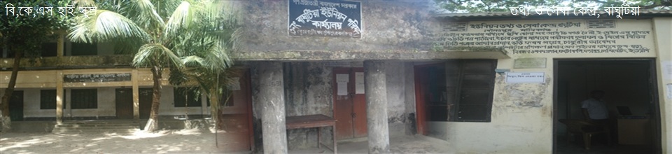 বাঘুটিয়া ইউনিয়ন পরিষদ