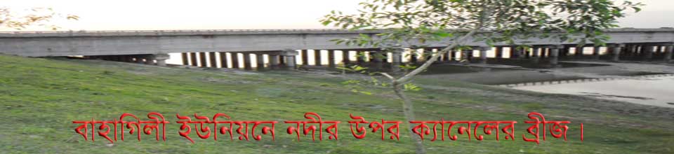বাহাগিলীর নদীর উপর ক্যানেলের ব্রীজ।