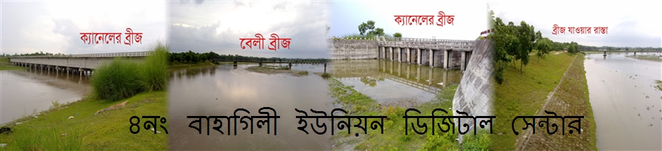 ৪নং বাহাগিলী ইউনিয়ন বাহাগিলী ঘাট এর ব্রীজের ছবি
