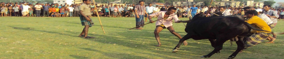 ষাড়ের লড়াই