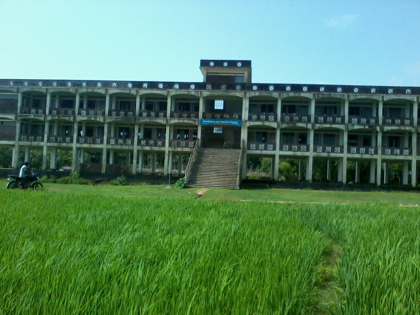 মারিশ বনিয়া উচ্ছবিদ্যালয়