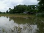 কৃষি ও প্রাণিসম্পদ