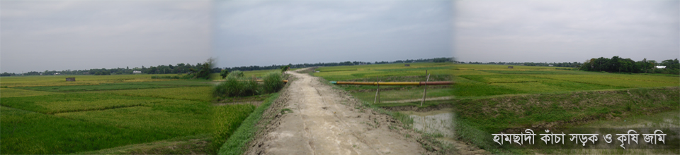 হামছাদী কাঁচা সড়ক