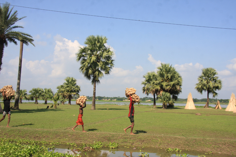 ভূমি অফিস