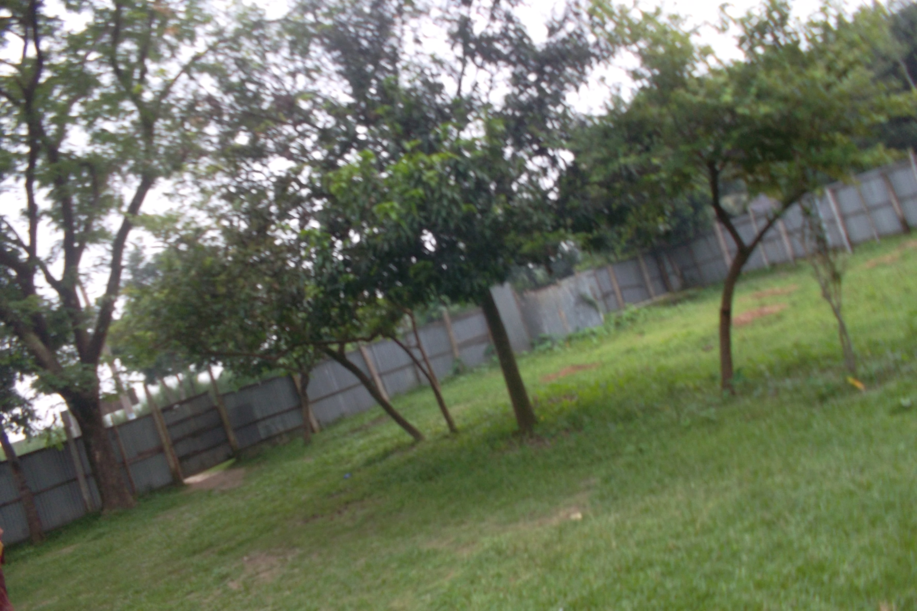 স্থানীয় সরকার প্রকৌশল