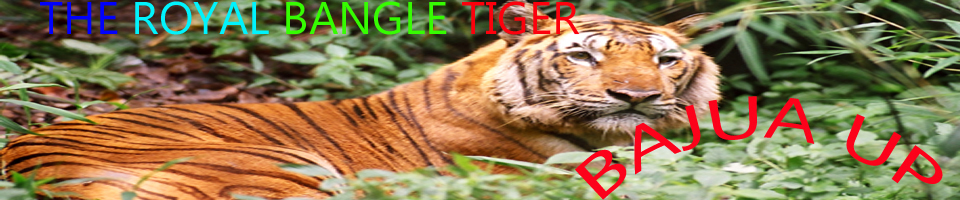 ব্যানার