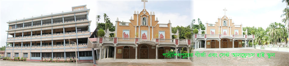 পাদ্রীশিবপুরের ঐতিহ্যবাহী স্থাপনাসমূহ