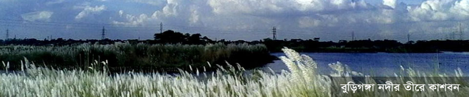 ব্যানার