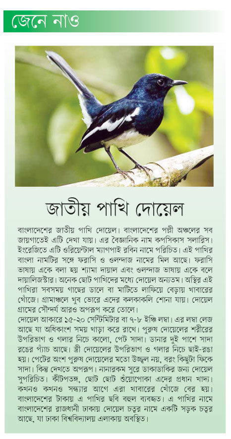 ফটোগ্রাফ
